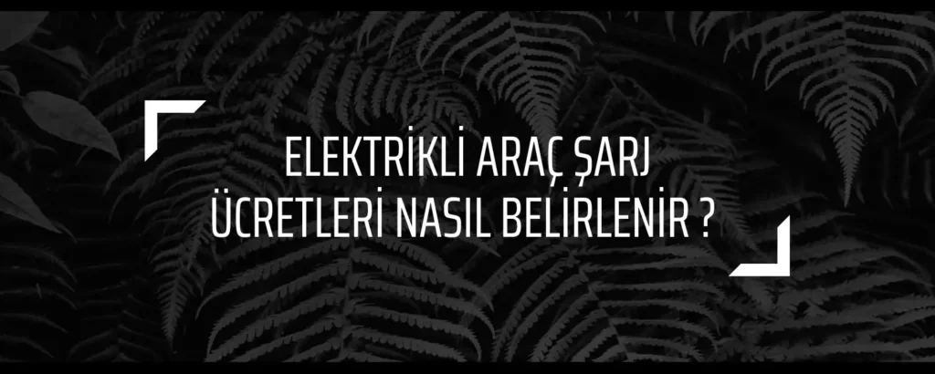 Elektrikli Araç Şarj Ücretleri Nasıl Belirlenir